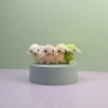 Four colorful alpaca wool plush dolls, cute and fun children's gift fabric dolls Specification image